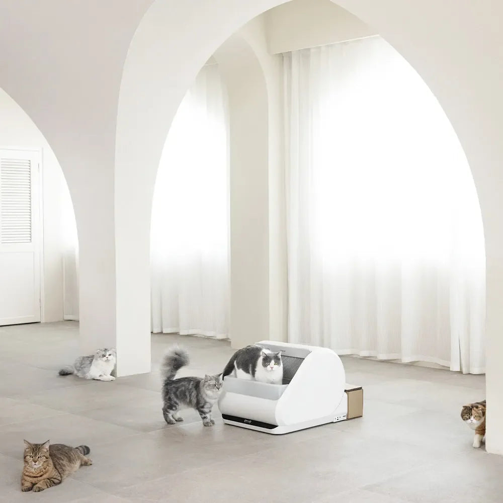 Zelfreinigende Kattenbak